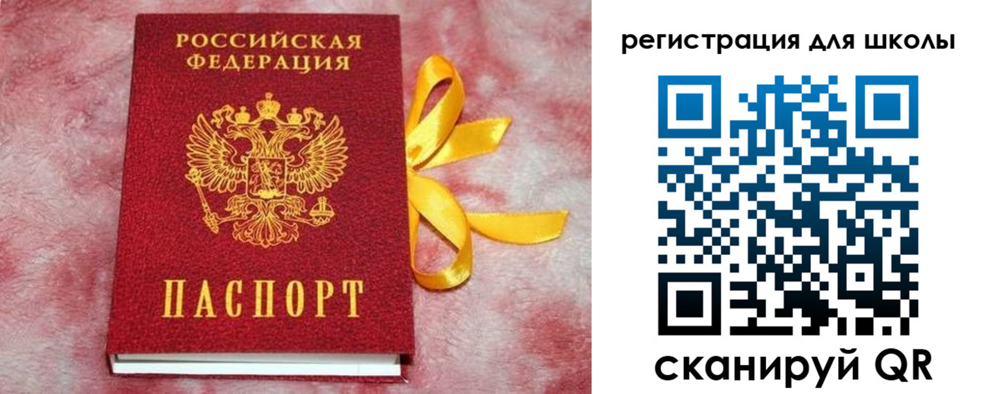прописка гарантия в Владивостоке